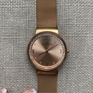 Skagen Rose Gold Mesh Watch Band with Branded Clasp